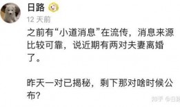 圈内那些事爆料,圈内那些事的背后真相